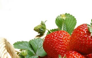 吃草莓的好处 吃草莓的好处与功效