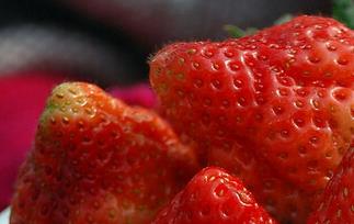 草莓的营养价值与功效 草莓的营养价值与功效与作用