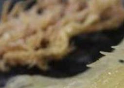 海燕窝的功效与作用 海燕窝的功效与作用吃法