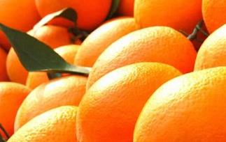 脐橙的营养价值与功效 脐橙的营养价值与功效图片