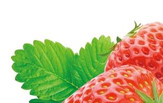 草莓的美容功效 草莓的美容功效是什么
