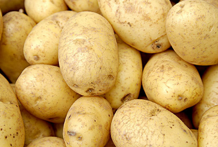 土豆早栽技术技巧，土豆怎么施肥 土豆早栽技术技巧,土豆怎么施肥呢