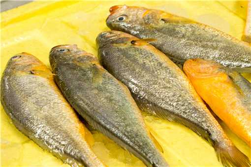 2021三刀鱼市场价格多少钱一公斤 2021三刀鱼市场价格多少钱一公斤今天
