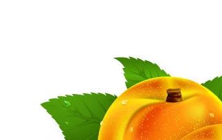 黄桃的营养价值和食疗功效 黄桃的功效与营养