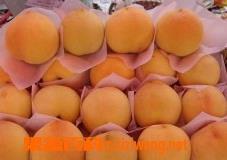 黄桃的功效和作用是热性还是凉性 黄桃的功效和作用