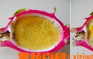 芒果火龙果汁的做法 香芒火龙果西米羹材料和做法