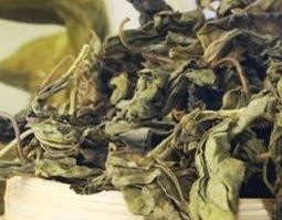蒲公英茶的副作用 蒲公英茶的副作用有哪些