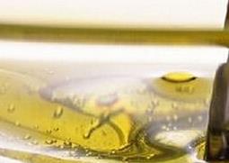 茶树籽油的营养价值与功效 茶籽树油有什么功效