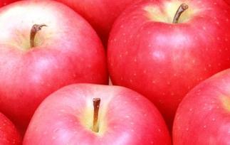 生苹果和熟苹果的功效和作用 苹果的功效和作用