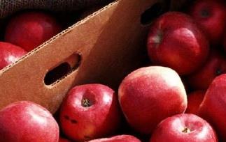 苹果的减肥功效强吗 苹果的减肥功效