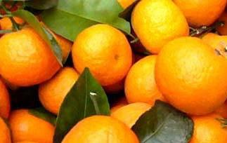 砂糖橘子功效 砂糖橘的药用功效