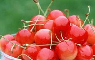 樱桃的营养和功效与作用 樱桃的营养和功效