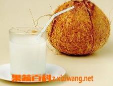 新鲜椰子汁的功效和作用 椰子汁有哪些功效