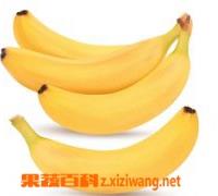 香蕉的功效与作用 香蕉皮的功效与作用
