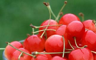 樱桃的营养,常吃樱桃的作用 吃樱桃的营养价值与食用功效