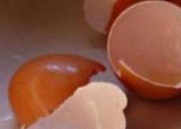 煮熟的鸡蛋壳有什么用处 鸡蛋壳有什么用处