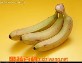 香蕉的营养成分和香蕉功效作用（香蕉的营养成分和香蕉功效作用是什么）