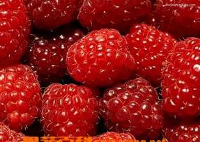 白酒泡树莓的作用 树莓的作用