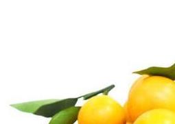 橘精油的功效和作用点 金橘精油的功效与作用