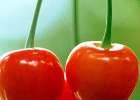 樱桃的食疗功效 樱桃养生功效及樱桃的吃法