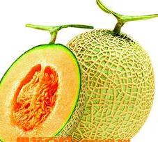哈密瓜的营养价值 哈密瓜的营养价值及功效