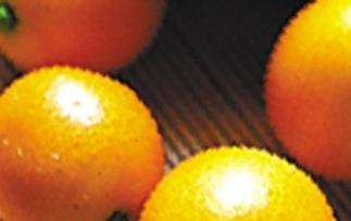 金橘的营养知识 金桔和橘子的营养区别