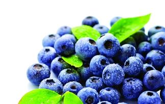 蓝莓的营养价值与作用及功效 蓝莓的营养价值与作用
