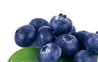 蓝莓作用有哪些 蓝莓的作用有什么