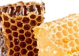蜂蜜外面的一层白色的蜂巢能吃吗 蜂巢能吃吗