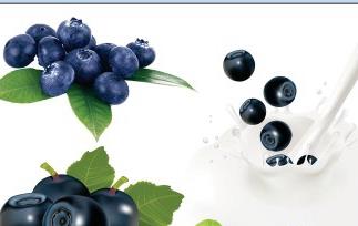 野生蓝莓及其营养成分
