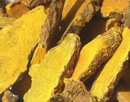 片姜黄的功效与作用及禁忌的功效与作用 片姜黄的功效与作用及禁忌