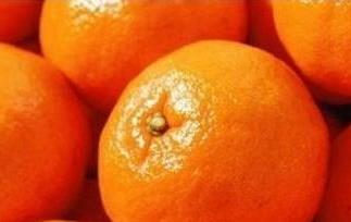 蜜橘橘皮的功效 蜜橘皮的功效与作用