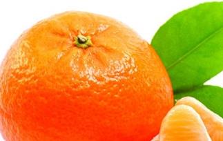 孕妇可以吃橘子吗?孕晚期 孕妇可以吃桔子吗