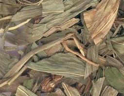 淡竹叶的食疗功效与用法 淡竹叶的食疗功效与用法用量