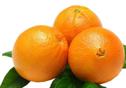 脐橙栽培管理技术 脐橙怎么种植