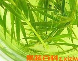 竹子叶泡水喝的功效与作用 竹子叶泡水喝的功效与作用及禁忌