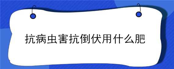 抗病虫害抗倒伏用什么肥（增强抗病虫害和抗倒伏的是什么肥）