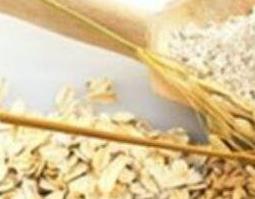 中药雀麦的功效与作用及禁忌 中药雀麦的功效与作用