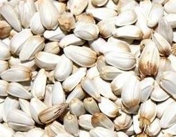 藏红花籽的功效与作用及禁忌 藏红花籽的功效与作用及禁忌