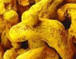 姜黄的功效与作用及药用价值 姜黄的药用价值和功效