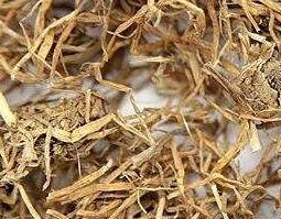 糯稻根的功效与作用及药用价值及禁忌 糯稻根的功效与作用及药用价值