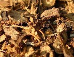 山豆根的副作用 山豆根的副作用会持续多久