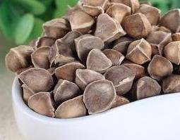 印度辣木籽的功效与作用 印度辣木籽的药用价值