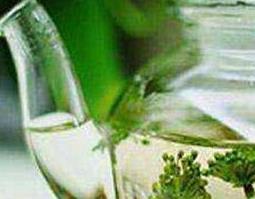 石斛花和三七花泡水喝的功效与作用 三七花泡水喝的功效与作用