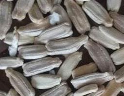 葫芦籽的功效与作用及食用方法 菜葫芦籽的功效与作用