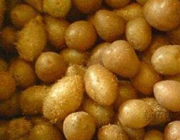 吃石黄皮有什么作用 吃石黄皮的副作用和禁忌