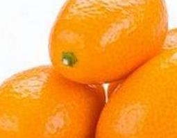 中药金橙子的作用与功效是什么 中药金橙子的作用与功效