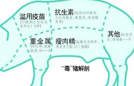 猪饲料中添加瘦肉精的危害是什么 猪饲料中添加瘦肉精的危害