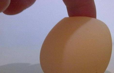 如何防止鸡生软壳蛋 如何防止鸡生软壳蛋呢