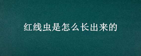 红线虫是怎么长出来的 红线虫是怎么长出来的?